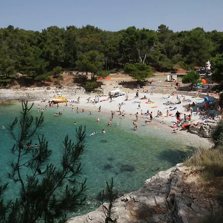 Franjo * Pula