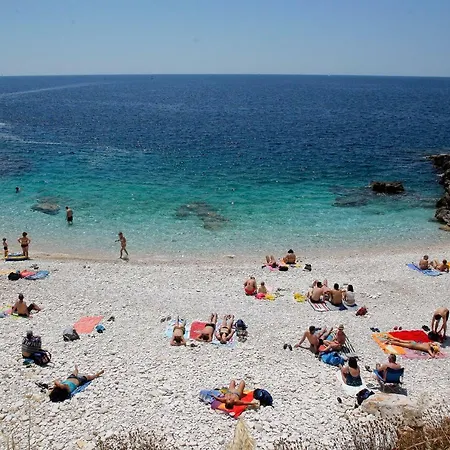 アパート Franjo *