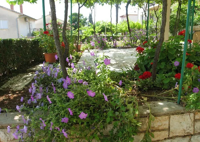 Franjo Apartman Póla