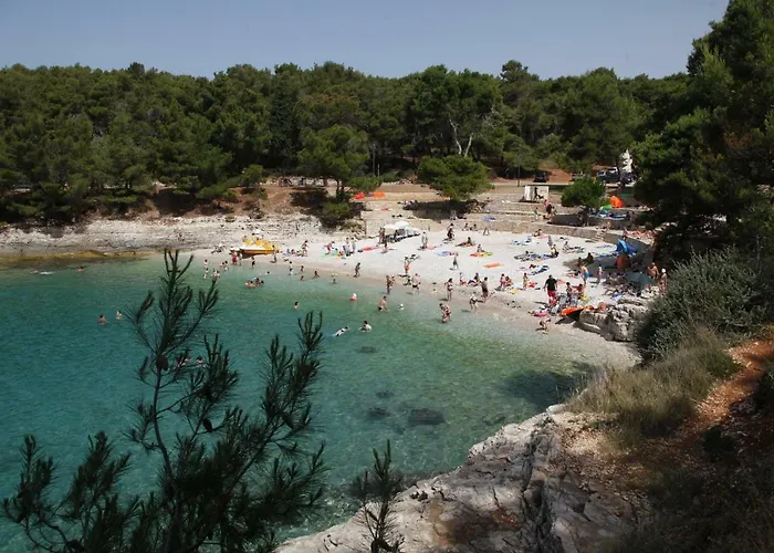Franjo * Pula